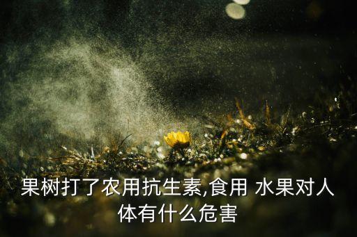 果樹打了農用抗生素,食用 水果對人體有什么危害