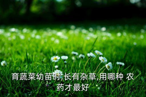 花菜用什么農藥,花菜農藥很多不建議吃
