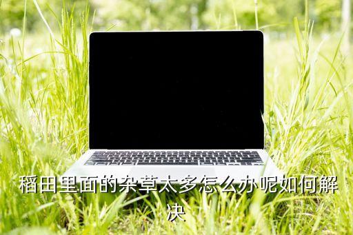 稻田用什么農藥去除,用什么方法去除蔬菜上的農藥