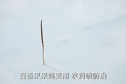 什么農藥可以打死針蜂,艾草用什么農藥打死