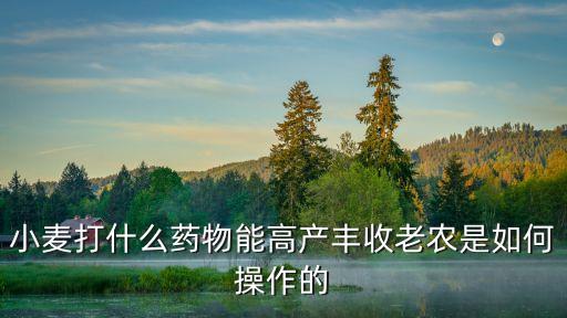 小麥打什么藥物能高產豐收老農是如何操作的