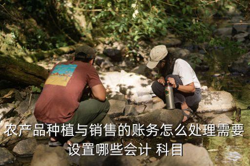 農藥化肥記什么科目,購買農藥化肥計入什么科目