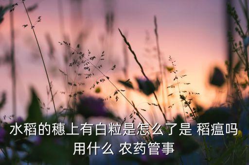 稻瘟虱用什么農藥最好