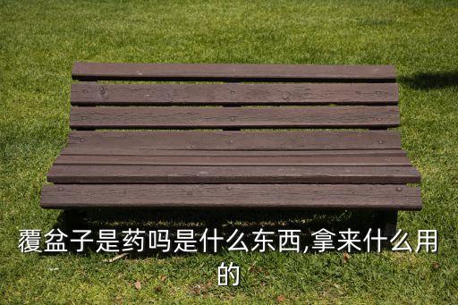 覆盆子是藥嗎是什么東西,拿來什么用的