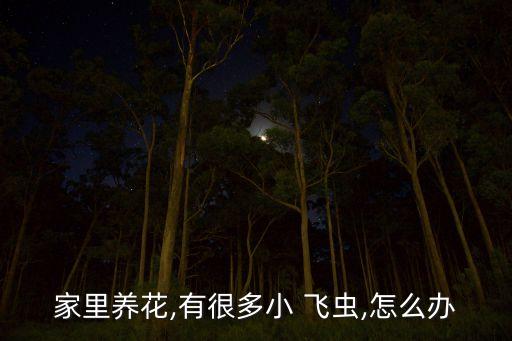 花有飛蟲噴什么農藥,花上起小飛蟲用什么方法