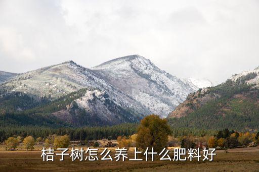 柑橘樹移栽后用什么農(nóng)藥,柑橘移栽需要注意什么