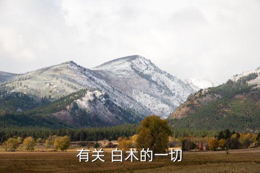 有關 白術的一切