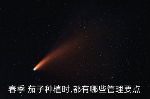 春季 茄子種植時,都有哪些管理要點