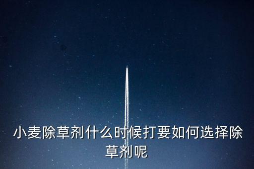 不打農藥的小麥什么時候打,小麥殺菌劑什么時候打