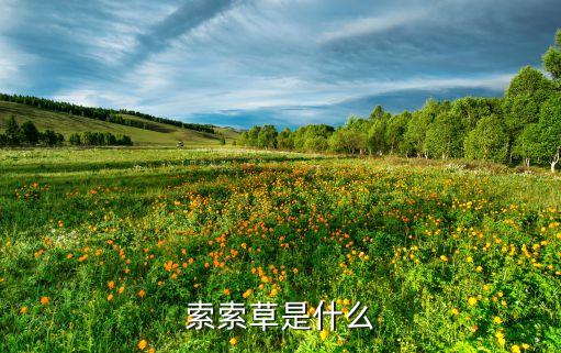 梭梭草用什么農藥治,什么是梭梭草