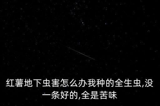 紅薯地下蟲害怎么辦我種的全生蟲,沒一條好的,全是苦味