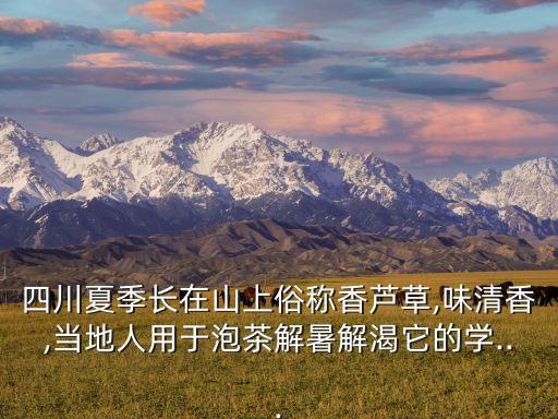四川夏季長在山上俗稱香蘆草,味清香,當地人用于泡茶解暑解渴它的學...