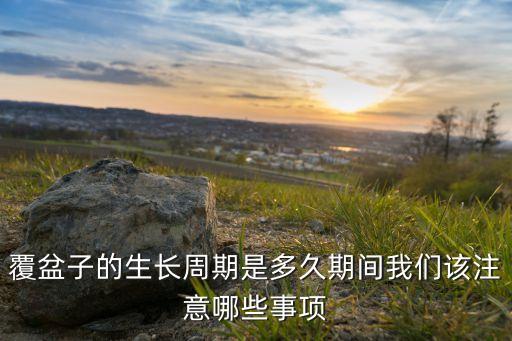 東南懸鉤子怕什么農藥