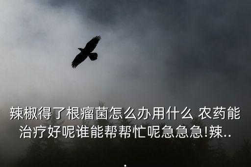 辣椒得了根瘤菌怎么辦用什么 農藥能治療好呢誰能幫幫忙呢急急急!辣...