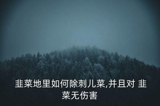  韭菜地里如何除刺兒菜,并且對 韭菜無傷害