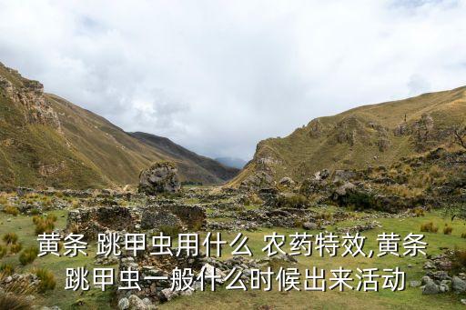 黃條 跳甲蟲用什么 農藥特效,黃條 跳甲蟲一般什么時候出來活動