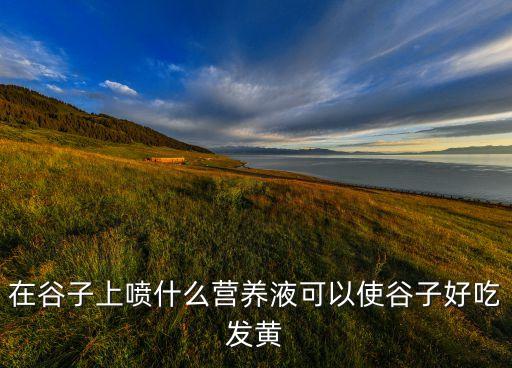 水稻用什么農藥可增產,水稻農藥什么時間打效果最好