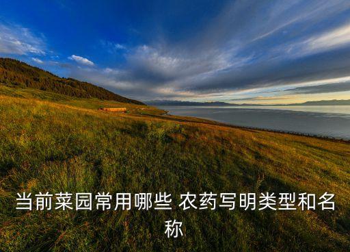 什么農藥寫動詞,i什么helpful 寫be動詞