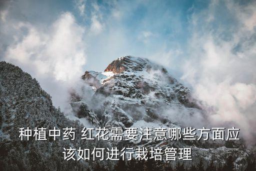 紅花種植打什么農藥,種植大蔥用什么農藥