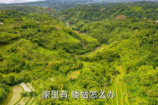 什么農藥可殺死螻蛄,用什么最快殺死螻蛄