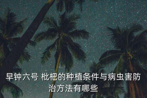 早鐘六號(hào) 枇杷的種植條件與病蟲害防治方法有哪些