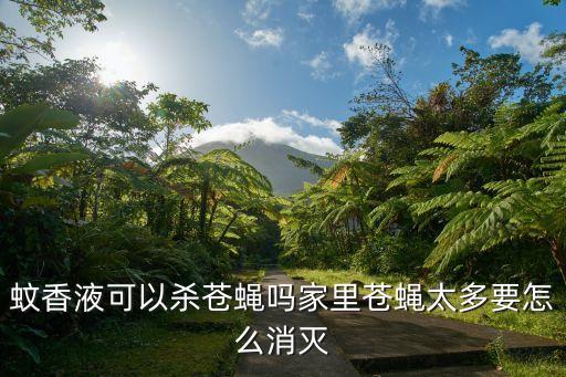 蚊香液可以殺蒼蠅嗎家里蒼蠅太多要怎么消滅