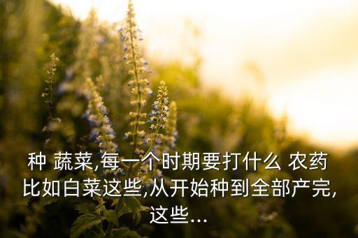 蔬菜什么時候可以加農藥,蔬菜噴農藥在什么時候最好