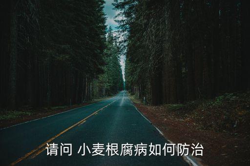 請問 小麥根腐病如何防治