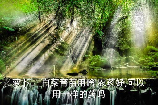 蘿卜、 白菜育苗用啥 農藥好,可以用一樣的藥嗎