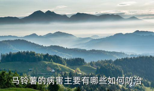 洋芋早疫病打什么農藥,洋芋疫病用什么藥