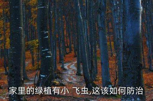 家里的綠植有小 飛蟲,這該如何防治