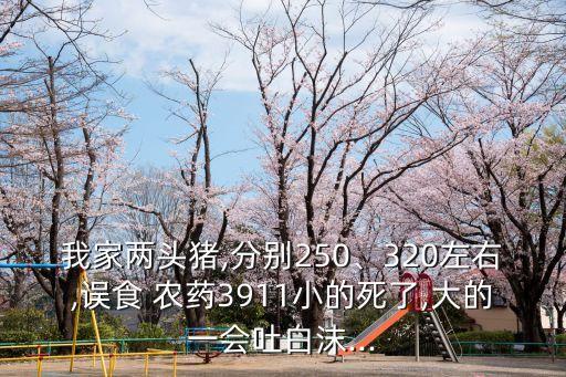 農藥對豬有什么危害,農藥弄到頭上有什么危害