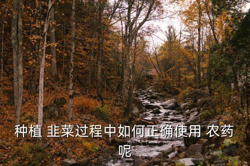 韭菜打什么農藥不超標,韭菜用什么洗去農藥