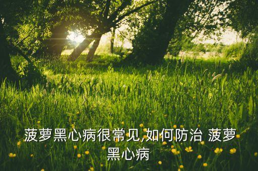 菠蘿噴什么農(nóng)藥好,菠蘿需要噴什么藥才結(jié)果
