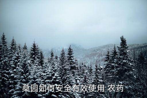 桑樹要噴什么農藥除蟲,桑樹結果用什么農藥