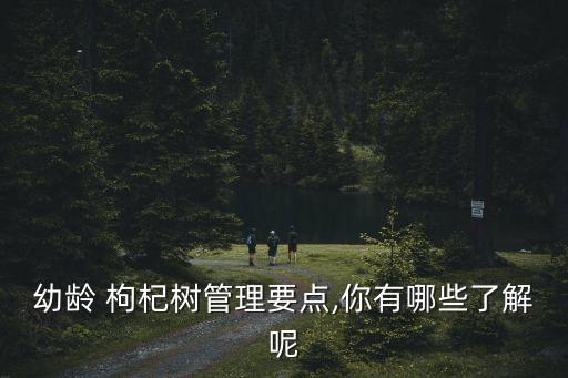 幼齡 枸杞樹管理要點(diǎn),你有哪些了解呢