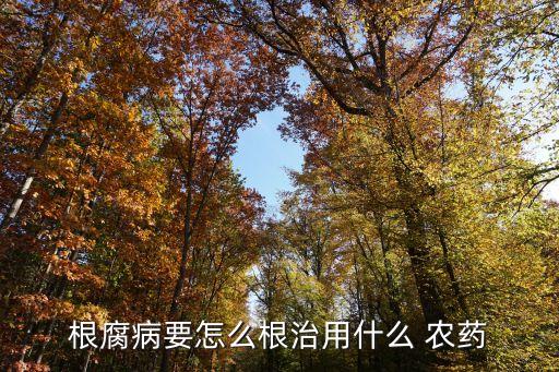根腐病要怎么根治用什么 農藥