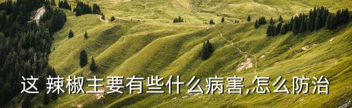 這 辣椒主要有些什么病害,怎么防治