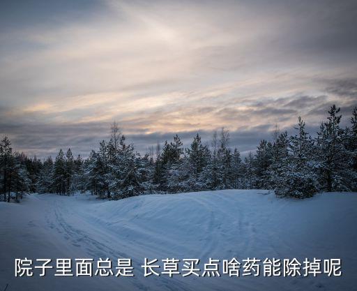 院子里面總是 長草買點啥藥能除掉呢