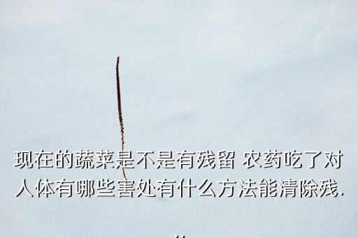 現在的蔬菜是不是有殘留 農藥吃了對人體有哪些害處有什么方法能清除殘...