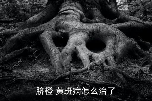 黃斑病用什么農(nóng)藥啊,指點(diǎn)黃斑病用什么農(nóng)藥好