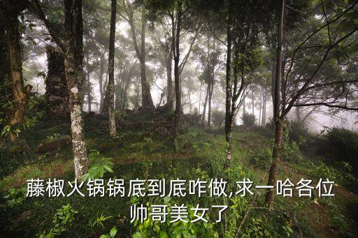 藤椒火鍋鍋底到底咋做,求一哈各位帥哥美女了