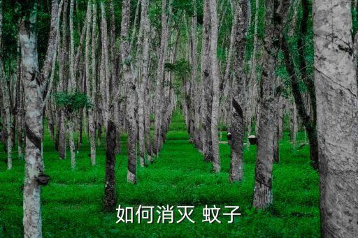 什么農藥能去蚊子,用什么方法去蚊子最有效