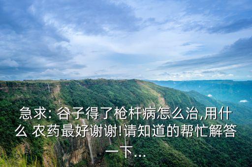 急求: 谷子得了槍桿病怎么治,用什么 農(nóng)藥最好謝謝!請(qǐng)知道的幫忙解答一下...