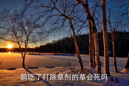 ,鵝吃什么農藥會慢性死亡