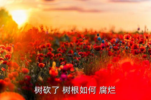 樹砍了 樹根如何 腐爛