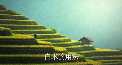 白術(shù)中藥材忌什么農(nóng)藥,中藥材白術(shù)治什么病