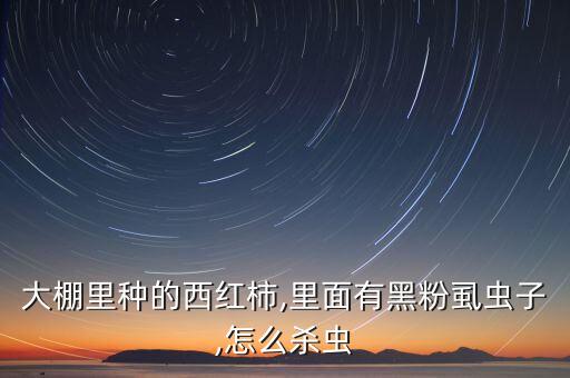 大棚里種的西紅柿,里面有黑粉虱蟲子,怎么殺蟲