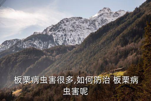 板栗適合什么農藥,板栗樹適合種在什么地方