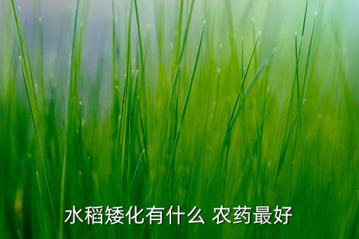 水稻矮化有什么 農藥最好